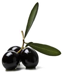 czarna oliwka